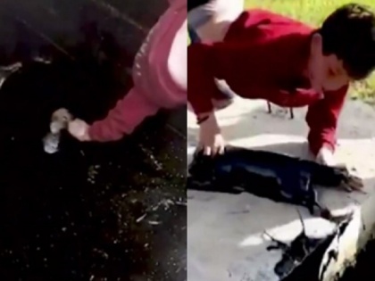 little boy bravely rescues puppy stuck in oil well video goes viral | एक पिल्ले के लिए 10 साल के बच्चे ने जान जोखिम में डाली, तेल के कुएं से बचाया, देखें वीडियो