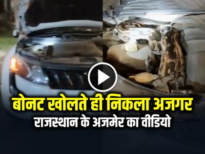 Python Inside Car Bonnet, Ajmer Video Went Viral | VIDEO: कार का बोनट खोलते ही निकला विशाल अजगर, अजमेर का वीडियो वायरल
