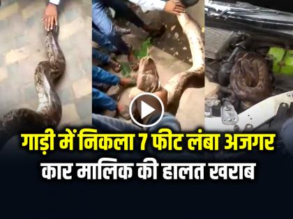 Python Snake in car bonnet video goes viral on social media | VIDEO: गाड़ी में निकला 7 फीट लंबा अजगर, कार मालिक की हालत खराब, देखें वायरल वीडियो