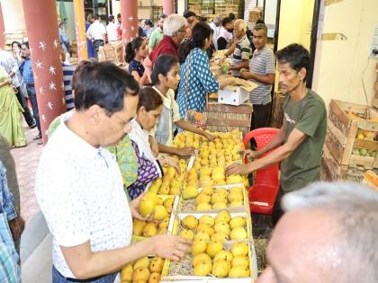 More than five and a half lakh mangoes of Deogarh and Ratnagiri of Maharashtra were licked in Indori | महाराष्ट्र के देवगढ़ और रत्नागिरी के साढ़े पांच लाख से ज्यादा आम चट कर गए इंदौरी More than five and a half lakh mangoes of Deogarh and Ratnagiri of Maharashtra were licked in Indori | महाराष्ट्र के देवगढ़ और रत्नागिरी के साढ़े पांच लाख से ज्यादा आम चट कर गए इंदौरी