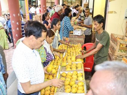 More than five and a half lakh mangoes of Deogarh and Ratnagiri of Maharashtra were licked in Indori | महाराष्ट्र के देवगढ़ और रत्नागिरी के साढ़े पांच लाख से ज्यादा आम चट कर गए इंदौरी
