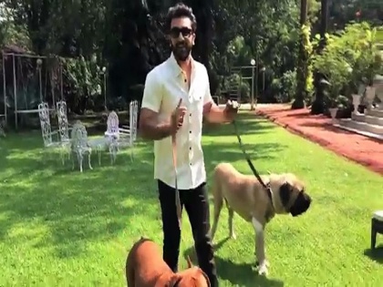 Ranbir Kapoor gets bitten by his own dog after that he visit to the hospital | जिस डॉगी से रणबीर कपूर करते हैं बेशुमार प्यार उसी ने एक्टर को लिया काट, जाना पड़ा अस्पताल