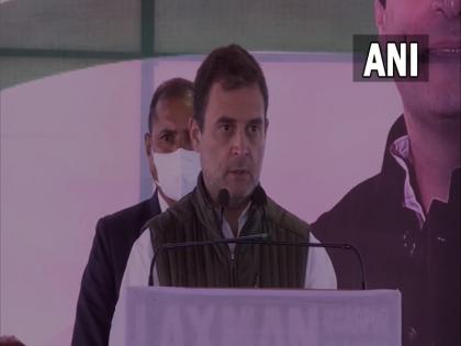 Uttarakhand Election 2022 Congress leader Rahul Gandhi makes 4 promises to people of Uttarakhand | Uttarakhand Election 2022: उत्तराखंड में कांग्रेस नेता राहुल गांधी ने किए 4 वादे, कहा- 4 लाख लोगों को रोजगार..