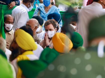 rahul gandhi again active on Twitter 18 days later tweeted about NMP social media platforms | 18 दिन बाद ट्विटर पर फिर सक्रिय हुए राहुल गांधी, एनएमपी को लेकर किया ट्वीट