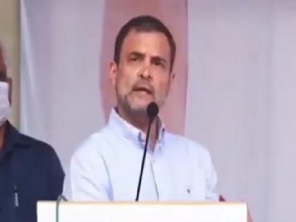 Rahul Gandhi says due to govt decisions power of Maa Lakshmi, Maa Saraswati and Durga decreased | 'सरकार के फैसलों से मां लक्ष्मी, मां सरस्वती और दुर्गा माता की शक्ति घटी', जम्मू में केंद्र सरकार पर बरसे राहुल गांधी Rahul Gandhi says due to govt decisions power of Maa Lakshmi, Maa Saraswati and Durga decreased | 'सरकार के फैसलों से मां लक्ष्मी, मां सरस्वती और दुर्गा माता की शक्ति घटी', जम्मू में केंद्र सरकार पर बरसे राहुल गांधी