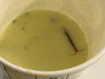Viral Video Passenger asks for food from IRCTC centipede found in raita you will be disgusted after watching the video | Viral Video: IRCTC से यात्री ने मंगयां खाना, रायते में निकला कनखजूरा, वीडियो देख घिना जाएंगे आप