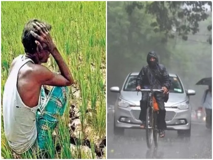 5 people died due to unseasonal rain and hailstorm in Marathwada advice to farmers postpone harvesting | देश के कई हिस्सों में बारिश; मराठावाड़ा में बेमौसम बारिश और ओलावृष्टि से पांच लोगों की मौत, किसानों को दी गई ये सलाह