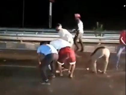 Cash Scattered On UP Highway After Alleged Robbery, Crowd Rushes To Collect Rs 500 Notes | VIDEO: यूपी के हाईवे पर बिखरा कैश ही कैश, 500 रुपये के नोट लेने के लिए दौड़े लोग