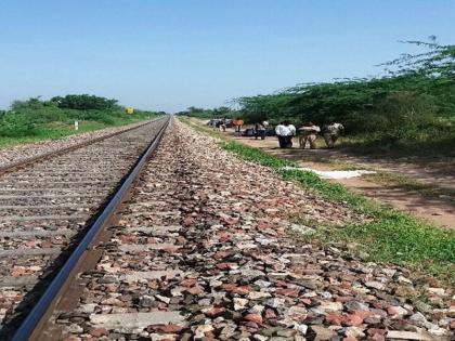 bihar patna rail accident news | ट्रेन की चपेट में आने से कटीं करीब 70 भेंड़ें, भेंड़ पालक का रो-रो कर हुआ बुरा हाल bihar patna rail accident news | ट्रेन की चपेट में आने से कटीं करीब 70 भेंड़ें, भेंड़ पालक का रो-रो कर हुआ बुरा हाल