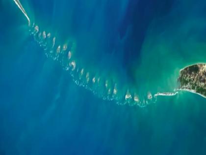 Supreme Court to hear on March 9 on demand to declare RamSetu as national monument | सुप्रीम कोर्ट रामसेतु को राष्ट्रीय स्मारक घोषित करने की मांग पर 9 मार्च को करेगा सुनवाई, सुब्रमण्यम स्वामी ने दी है याचिका