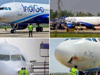 ranchi 175 passengers board Indigo plane vulture hit landed emergency situation Birsa Munda Airport | 4,000 फुट की ऊंचाई पर इंडिगो विमान, सवार थे 175 यात्री?, गिद्ध टकराया, आपात स्थिति में बिरसा मुंडा हवाई अड्डे पर उतारा