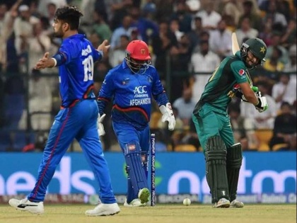 Asia Cup 2018: Pakistan fans troll Rashid Khan for his Send-Offs in super four match | एशिया कप: राशिद खान ने कुछ ऐसे मनाया 'जश्न', भड़क उठे पाकिस्तानी फैंस, सोशल मीडिया में जमकर निकाली भड़ास
