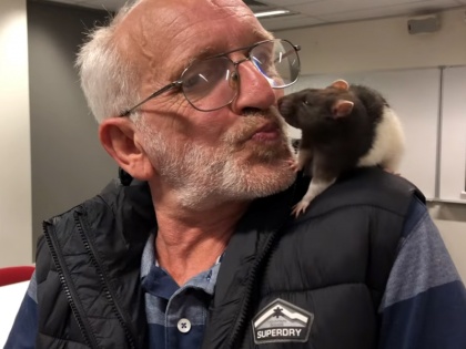 Cops Reunite Homeless Man With His Pet Rat In Heartwarming Viral Video | जब पुलिस ने खोए चूहे को मालिक से मिलाया, वायरल हुआ दिल छू लेने वाला वीडियो
