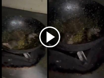 Rats seen swimming in the mess of IIT Roorkee created ruckus as soon as the disgusting video viral | IIT रुड़की के मेस के खाने में तैरते दिखे चूहे, घिनौना वीडियो वायरल होते ही मचा बवाल