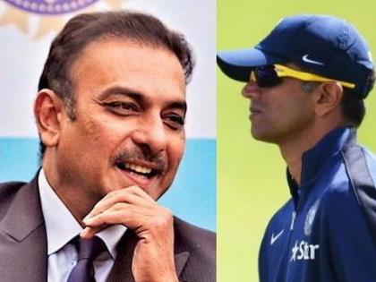 Rahul Dravid India head coach Twitter Reactions after india lost match against australia | Ind vs Aus:भारत की शर्मनाक हार के बाद रवि शास्त्री पर फूटा लोगों का गुस्सा, राहुल द्रविड़ को कोच बनाने की उठी मांग