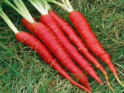 health benefits of red coloured vegetables and fruits | कैंसर, डायबिटीज, तनाव से बचाने के साथ मृत्यु दर का खतरा कम करती हैं लाल रंग की ये सब्जियां