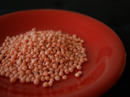 government extended Zero import duty on lentils and agricultural cess exemption till march 2025 | मसूर दाल पर शून्य आयात शुल्क, सरकार ने कृषि-उपकर छूट को इतने साल के लिए किया एक्सटेंट