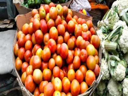 Relief in tomato prices Government will sell tomatoes at Rs 40 per kg from August 20 | Tomatoes Price: टमाटर की कीमतों में राहत! सरकार 20 अगस्त से 40 रुपए प्रति किलो में बेचेगी टमाटर