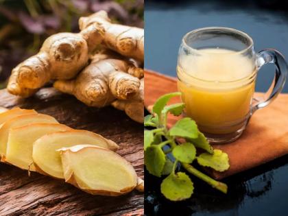 Home remedies for high fever: use these 8 foods and herbs to get rid fever, natural and Ayurveda herbs for fever in Hindi | तेज बुखार का घरेलू इलाज : बिना दवाओं के बुखार से छुटकारा पाने के 8 आसान घरेलू उपाय, सर्दी, खांसी, जुकाम भी होंगे दूर Home remedies for high fever: use these 8 foods and herbs to get rid fever, natural and Ayurveda herbs for fever in Hindi | तेज बुखार का घरेलू इलाज : बिना दवाओं के बुखार से छुटकारा पाने के 8 आसान घरेलू उपाय, सर्दी, खांसी, जुकाम भी होंगे दूर