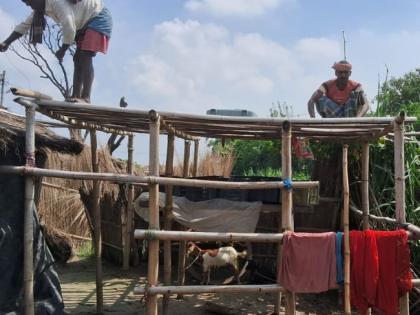 Bihar Rain flood Updates People scared rain in North BiharVillagers are building shelters on trees, see photos | Bihar Rain Updates: उत्तर बिहार में बारिश से सहमे लोग!, ग्रामीण लोग पेड़ पर बना रहे हैं आशियाना, देखें तस्वीरें