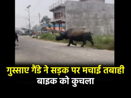 Rhino Attack Video on Urban Streets road people ran away | Rhino Attack Video: गैंडे ने सड़क पर मचाया आतंक, बाइक सवार पर किया हमला; जान बचाकर भागे लोग