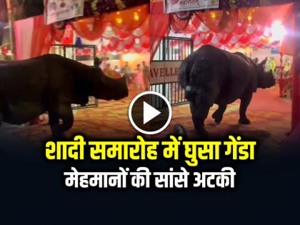 Rhino Enters Wedding Ceremony Video Goes Viral on Social Media | VIDEO: शादी समारोह में घुसा गेंडा, मेहमानों की सांसे अटकी, देखें वायरल वीडियो Rhino Enters Wedding Ceremony Video Goes Viral on Social Media | VIDEO: शादी समारोह में घुसा गेंडा, मेहमानों की सांसे अटकी, देखें वायरल वीडियो