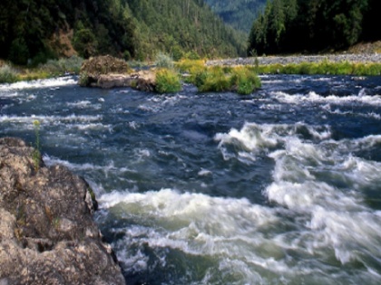 Pesticides are making the water of rivers poisonous | ब्लॉग: नदियों के पानी को जहरीला बना रहे हैं कीटनाशक