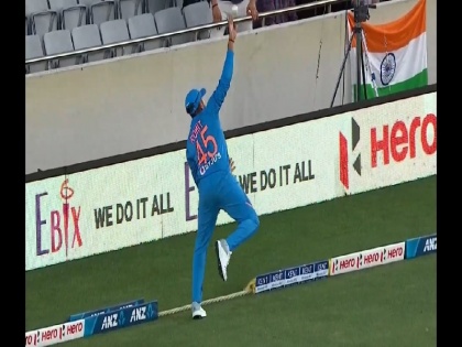 India vs New Zealand: Rohit Sharma takes a stunning catch of Martin Guptill during 1st T20 | IND vs NZ: रोहित शर्मा ने बाउंड्री पर लड़खड़ाने के बावजूद लपका शानदार कैच, खतरनाक बैटिंग कर रहे गप्टिल हो गए आउट