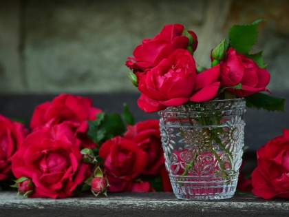 Rose day 2018: History of a rose and its connection to Valentine Day and Love | Rose Day 2018: जानिए अपने वेलेंटाइन को क्यों देते हैं लाल गुलाब, प्यार से है इसका पुराना रिश्ता