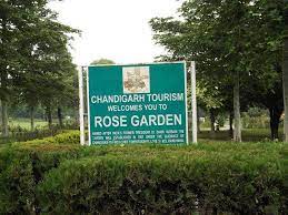 councillors-raise-questions-on-upgradation-of-rose-garden | चंडीगढ़: गुलाब के फूलों से खाली रोज गॉर्डन की जर्जर हालत देख पार्षदों ने पूछा- 25 लाख रुपये कहां गए?