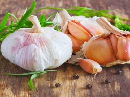 roasted garlic benefits : eating 2 garlic cloves daily can reduce risk of cancer, kidney and liver disease | लहसुन को ऐसे खाने से 2 घंटे में ही जड़ से खत्म होने लगता है कैंसर, लीवर-किडनी रोग का भी नहीं होता खतरा