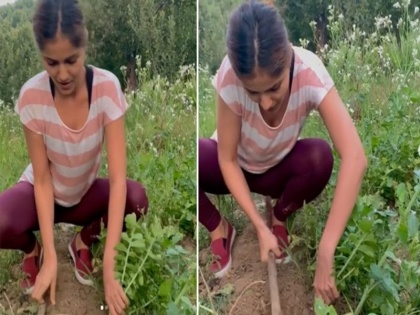 Shakti fame Rubina Dilaik shares a video on her social media goes viral | गांव के खेतों में काम करती नजर आईं टीवी की 'छोटी बहू', सोशल मीडिया पर वीडियो वायरल