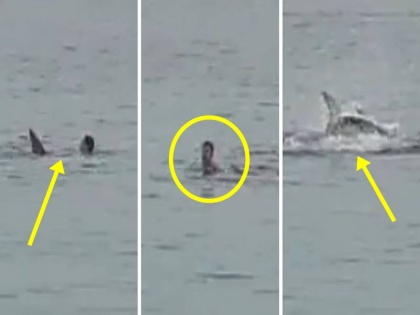 russian tourist died when Red Sea resort city of Hurghada egypt tiger shark attack man video viral | भयावह वीडियो: ऑन कैमरा विशाल शार्क ने रूसी पर्यटक पर किया हमला, पिता के सामने बेटे की ली जान, देखें क्लिप