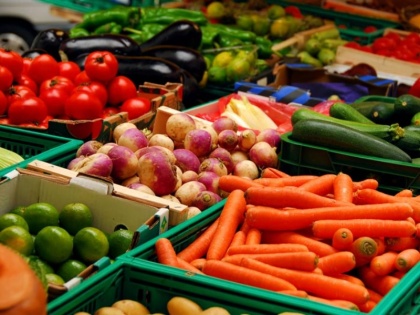 Dangerous level metals found in vegetables grown by Yamuna, fear of cancer | यमुना किनारे उगाई जा रही सब्जियों में पाई गई खतरनाक स्तर की धातुएं, कैंसर का डर