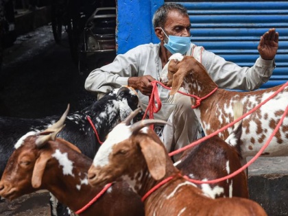 COVID-19 turns Eid insipid for goat sellers | कोविड के कारण फीका पड़ा बकरीद का रंग, छलका बकरा विक्रेताओं का दर्द