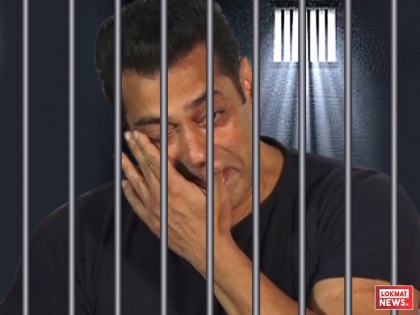 Salman Khan Black Buck Poaching Case Verdict: Dabangg Star Salman Khan got bail | Salman Khan Black Buck Poaching Case Verdict: काले हिरण को मारने के लिए सलमान को 5 साल की सजा