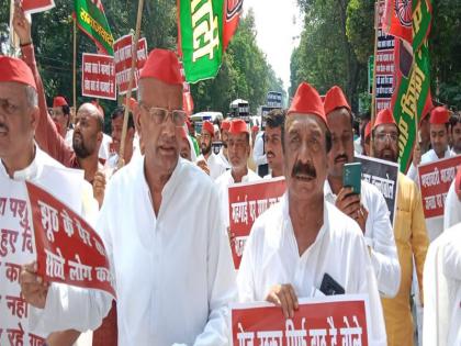 sambhal SP MLA Iqbal Mehmood says Whoever is a true Muslim he will not vote for BJP | ‘‘जो भी सच्चा मुसलमान होगा, वह भाजपा को वोट नहीं देगा’’- बोले सपा विधायक इकबाल महमूद, लगाया यह आरोप