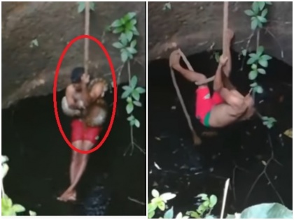 Snake catching in The Well Dangerous vidoe goes viral Kerala | सांप को बचाने के लिए कुएं में गया शख्‍स, सीने से लपेटकर ला रहा था वापस तभी हुआ कुछ ऐसा, खतरनाक है वायरल वीडियो