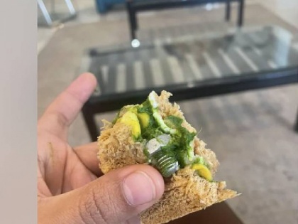 Screw found in passenger sandwich in Indigo flight FOOD will take action based on information received | विमान में खाने को लेकर चिंता बढ़ी, इंडिगो फ्लाइट में महिला यात्री को सैंडविच में मिला 'स्क्रू'