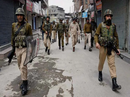 Jammu and Kashmir Police claims two Jaish terrorists caught with 25 hand grenades in Pulwama | जम्मू-कश्मीर: पुलिस का दावा, पुलवामा में जैश के दो आतंकी 25 हथगोलों के साथ पकड़े गए