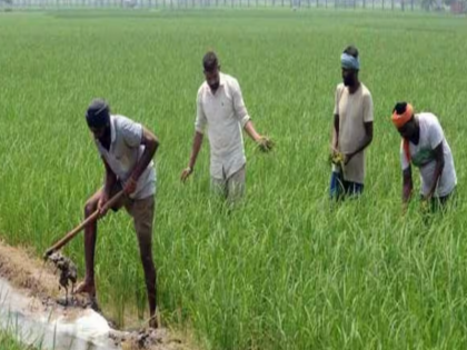 Farmers in Karnataka upset over gun deposit system amid elections | चुनाव के बीच गन डिपॉजिट सिस्टम को लेकर कर्नाटक में किसान परेशान, केरल की तरह राज्य में भी छूट मांग रहे हैं