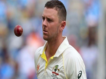 Australian fast bowler Josh Hazlewood out of WTC final | डब्ल्यूटीसी फाइनल से पहले ऑस्ट्रेलिया को झटका, जोश हेजलवुड चोट के कारण नहीं खेलेंगे मैच