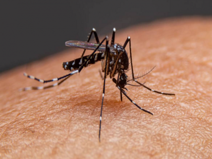 After floods danger of diseases like dengue malaria in Delhi take these precautions to stay safe | बाढ़ के बाद अब दिल्ली में डेंगू, मलेरिया जैसी बीमारियों का खतरा, सुरक्षित रहने के लिए बरतें ये सावधानियां