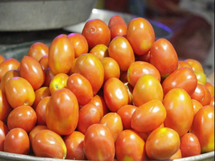 Tomato prices expected to fall new crop supplied more from Maharashtra and MP minister informed | टमाटर की कीमतों में गिरावट आने की उम्मीद, महाराष्ट्र और मप्र से नई फसल की अधिक आपूर्ति हुई, मंत्री ने दी जानकारी