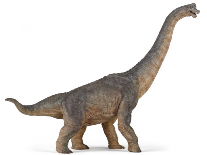 Indian scientists discover new species of plant-eating dinosaur named 'Therosaurus indicus' | भारतीय वैज्ञानिकों ने पौधे खाने वाले डायनासोर की नई प्रजाति का पता लगाया, 'थारोसॉरस इंडिकस' नाम दिया गया