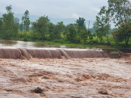 Former MP minister son car fell into the swollen river Police saved with the help of villagers | उफनती नदी में गिरी एमपी की पूर्व मंत्री के बेटे की गाड़ी, 1 घंटे तक पेड़ से लटका रहा युवक, पुलिस ने ग्रामीणों की मदद से बचाया Former MP minister son car fell into the swollen river Police saved with the help of villagers | उफनती नदी में गिरी एमपी की पूर्व मंत्री के बेटे की गाड़ी, 1 घंटे तक पेड़ से लटका रहा युवक, पुलिस ने ग्रामीणों की मदद से बचाया