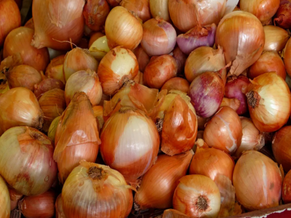 Onion prices likely to go above Rs 100 per kg in November in Delhi-NCR | Onion prices: जल्द ही रुलाने वाली हैं प्याज की कीमतें, नवंबर महीने में 100 रुपये प्रति किग्रा से उपर जाने की संभावना