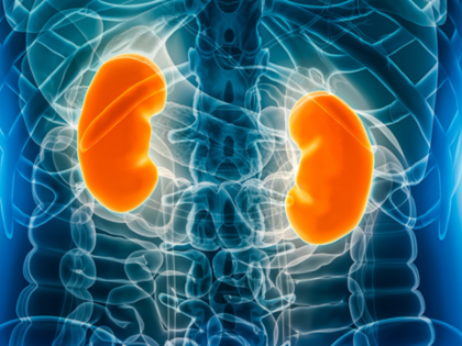 herbal drug Neeri KFT can heal ailing kidney claim in latest study | किडनी रोग के उपचार में आयुर्वेदिक दवा नीरी केएफटी असरकारी, अध्ययन में किया गया दावा