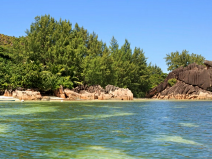 North Sentinel Island most dangerous place on earth is in India hardest place to visit Andaman Islands | भारत में है धरती की सबसे खतरनाक जगह, देखते ही जान से मार देते हैं रहने वाले लोग, हत्या का केस भी नहीं चलता, जानें इस खास द्वीप के बारे में