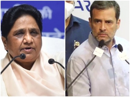 Rahul Gandhi claimed Congress had given an offer to Mayawati form an alliance did nottalk | कांग्रेस ने मायावती को दिया था ऑफर- गठबंधन करिये, मुख्यमंत्री बनिए; राहुल गांधी ने कहा- बसपा प्रमुख ने बात तक नहीं की, साधा निशाना
